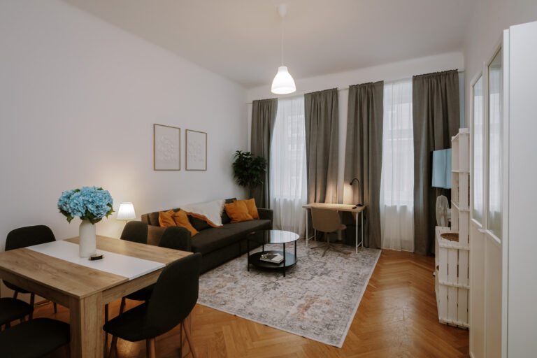 Ap. 40, Right by Metro, 1BR, Vienna Charme w/ high ceiling